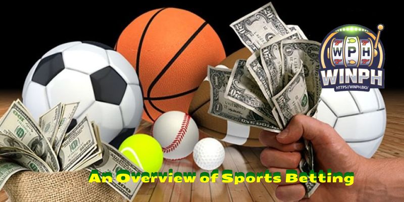 An Overview of Sports Betting