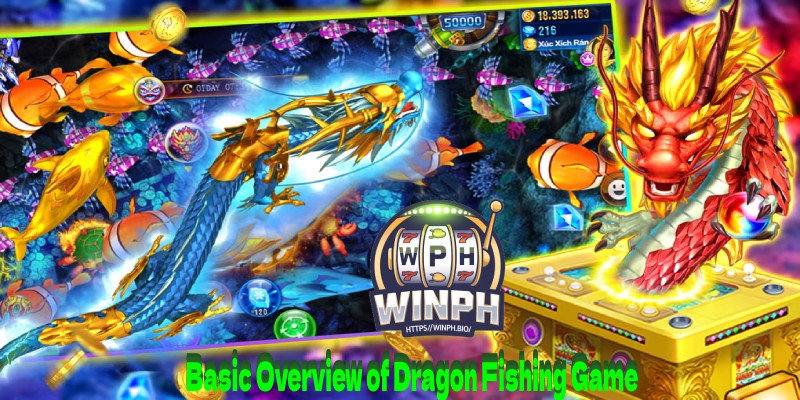 Basic Overview of Dragon Fishing Game