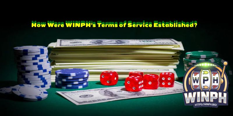 How Were WINPH's Terms of Service Established?