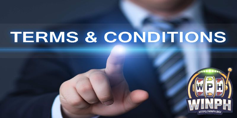 Promotion Terms and Conditions