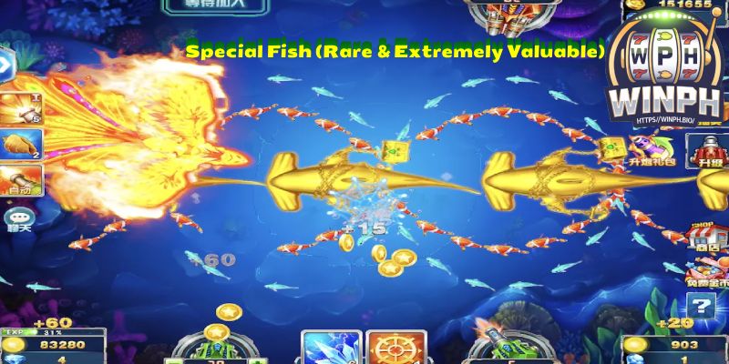 Special Fish (Rare & Extremely Valuable)