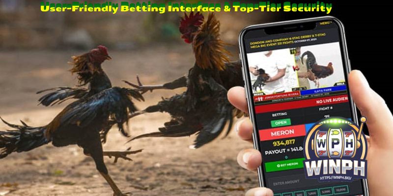 User-Friendly Betting Interface & Top-Tier Security
